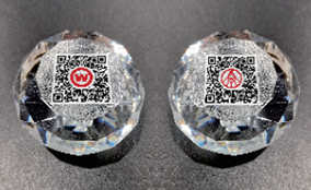 CA88ES-6700瓶盖高精可变数据喷印系统Technical Parameters